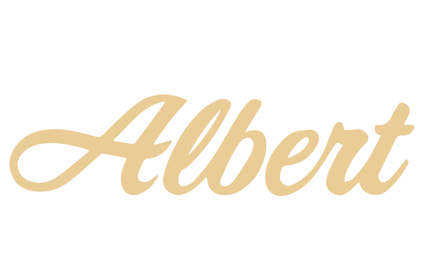 Typo-Studio Albert